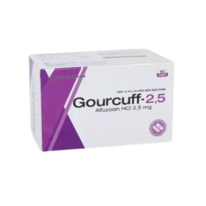Gourcuff-2.5